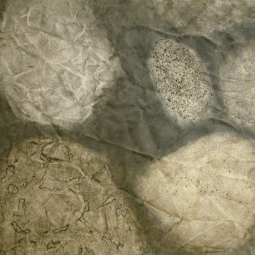 Betty Hageman, Minerals in Space, soil, compost and charcoal on canvas, 20 x 20 in.